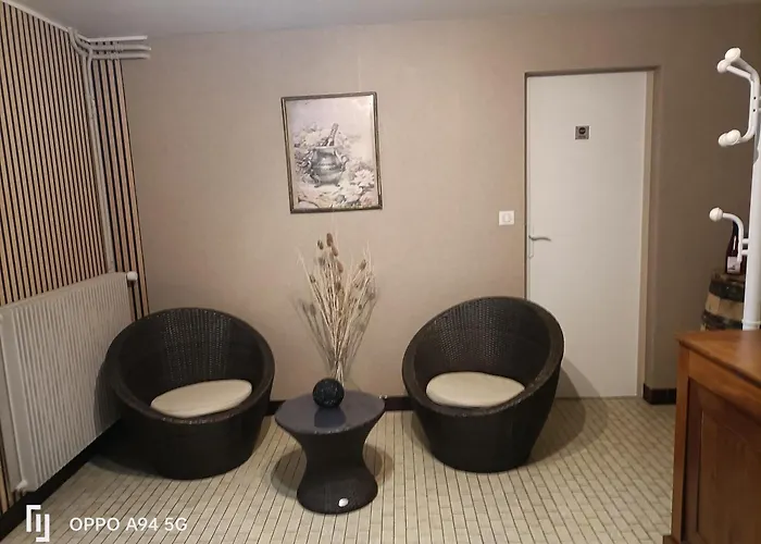 Le Du Coche Avec Vue Sur La Marne Damery (Marne)